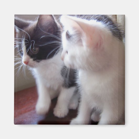 Alleen wij tweeën Magnet (Voorkant)