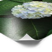 Alleen WOW. Foto Afdruk (Hoek)