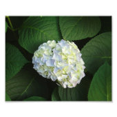 Alleen WOW. Foto Afdruk (Voorkant)