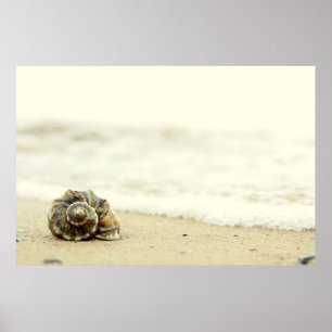 Alleen zoeken op strand poster