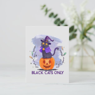 Alleen zwarte kat briefkaart