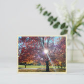 Allegany Autumn Briefkaart (Staand voorkant)