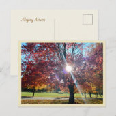Allegany Autumn Briefkaart (Voorkant / Achterkant)