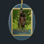 Allegany State Park Vintage Travel Beer Keramisch Ornament<br><div class="desc">Vintage-ornament Allegany State Park afbeelding met een zwart beer dat op zijn achterpoten staat en in het groene bos kijkt.</div>