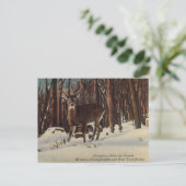  Allegheny National Forest, Pennsylvania Briefkaart (Staand voorkant)