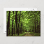 Allegheny National Park, Pennsylvania Briefkaart (Voorkant / Achterkant)