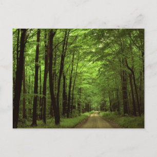 Allegheny National Park, Pennsylvania Briefkaart