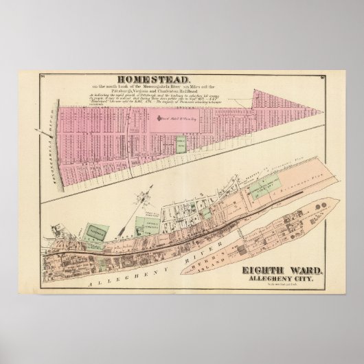 Allegheny ward 8 Homestead Poster (Voorkant)