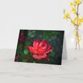 allegoricallittera.blogspot.com Red Rose, roos Kaart (Gele Bloem)