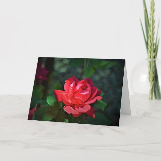 allegoricallittera.blogspot.com Red Rose, roos Kaart (Voorkant)