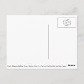 Allegory of Africa door Boeckhorst Briefkaart (Achterkant)