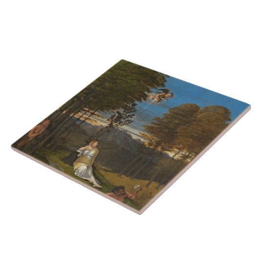 Allegory of Chastity, c. 1505 (olie op het paneel) Tegeltje (Zijkant)