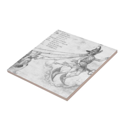 Allegory of eloquence van Albrecht Durer Tegeltje (Zijkant)