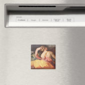 Allegory of Geography Magneet (Insitu (Vaatwasser))