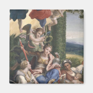 Allegory of the Virtues, c.1529-30 Magneet
