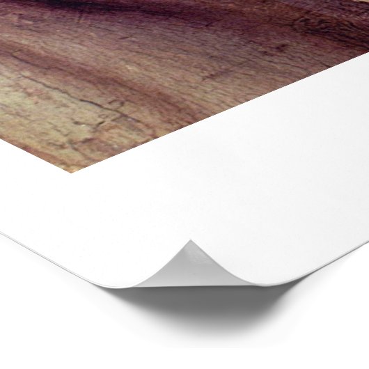 Allegory of Triumph van Venus door Angelo Bronzino Poster (Hoek)