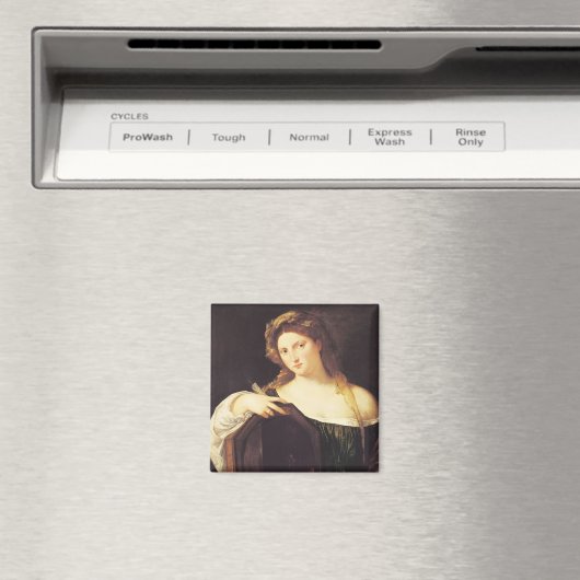 Allegory of Vanity Magneet (Insitu (Vaatwasser))