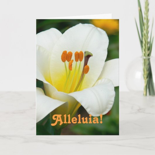 "ALLELUIA" / WITTE LELIE PASEN KAART (Voorkant)