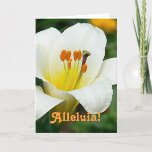 "ALLELUIA" / WITTE LELIE PASEN KAART