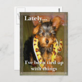 Allemaal Briefkaart (Voorkant / Achterkant)