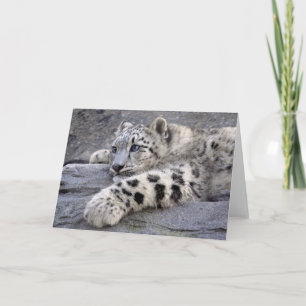 Allen beeindigden Kaart