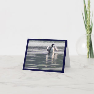 allen een duiker kaart