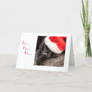 Allen Gekleed voor Kerstmis Feestdagen Kaart