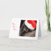 Allen Gekleed voor Kerstmis Feestdagen Kaart (Voorkant)