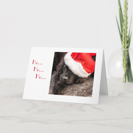 Allen Gekleed voor Kerstmis Feestdagen Kaart (Voorkant)