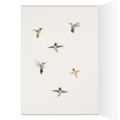 Allen Hummingbird Birthday Kaart (Binnen (Links))