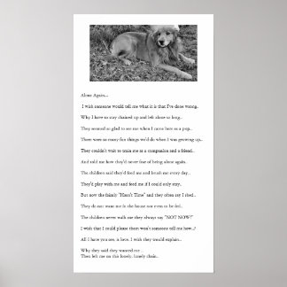 Allen opnieuw poster