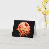 Allen veroorzaken het Rode Wenskaart van de Nota Kaart (Gele Bloem)