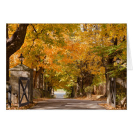 Allenberry Resort Drive