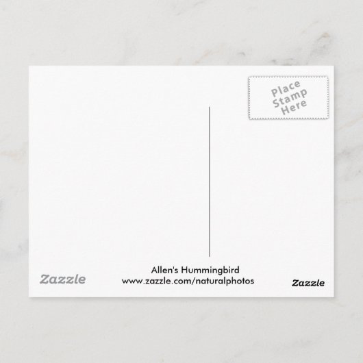 Allen's Hummingbird Briefkaart (Achterkant)