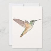 Allen's Hummingbird Flat Wenskaart Kaart (Voorkant)