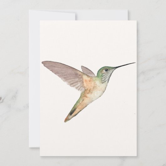 Allen's Hummingbird Flat Wenskaart Kaart (Voorkant)