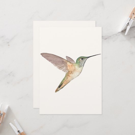 Allen's Hummingbird Flat Wenskaart Kaart (Voorkant / Achterkant in situ)