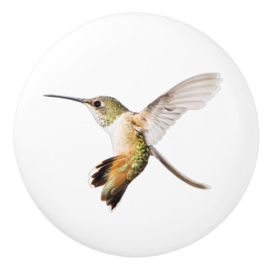 Allen's Hummingbird knob Keramische Knop (Voorkant)