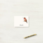 Allen's Hummingbird Notes (Op bureau)