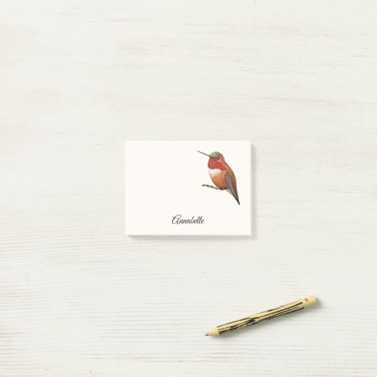 Allen's Hummingbird Notes (Op bureau)