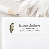 Allen's Hummingbird Retourlabel Etiket (Insitu)