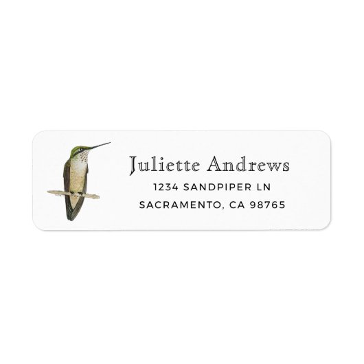 Allen's Hummingbird Retourlabel Etiket (Voorkant)
