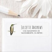Allen's Hummingbird Retourlabel Etiket (Insitu)