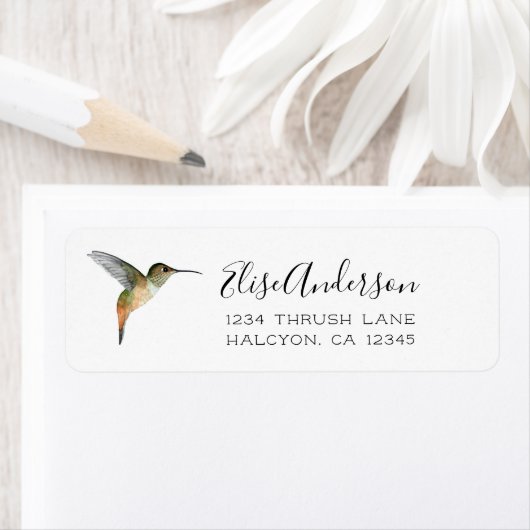 Allen's Hummingbird Return Address Label (Insitu)