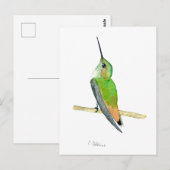 Allen's kolibrie briefkaart (Voorkant / Achterkant)