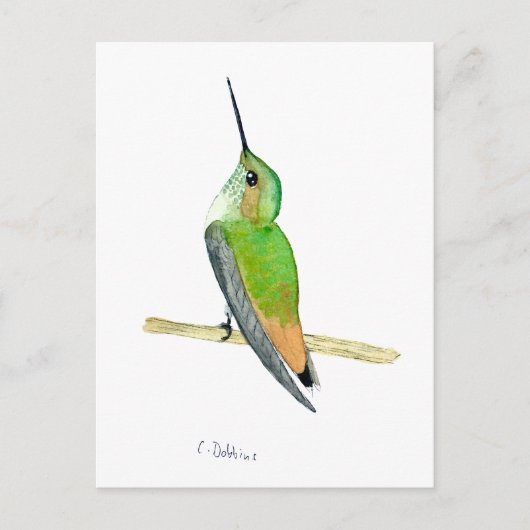 Allen's kolibrie briefkaart (Voorkant)