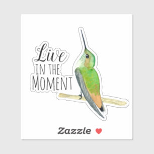 Allen's kolibrie Sticker