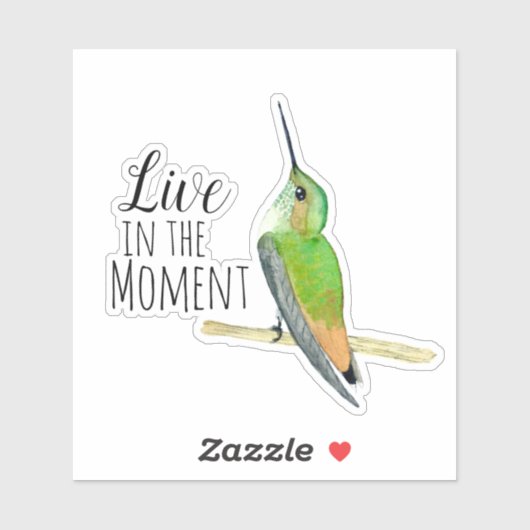 Allen's kolibrie Sticker (Vel)