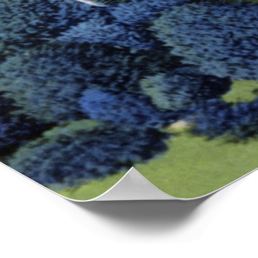 Allentown Pennsylvania Cedar Crest College Poster (Hoek)