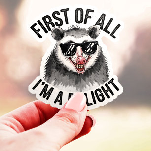 Allereerst Ben Ik Een Aangenaam Opossum Vinyl Sticker